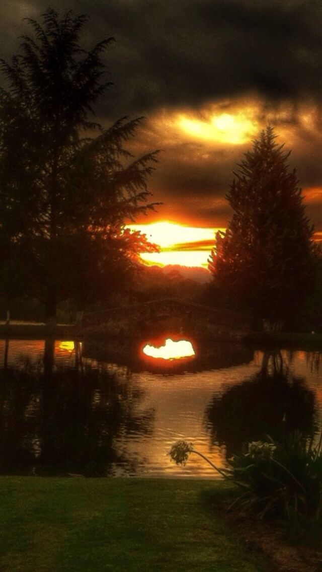 sunset, tree, tranquil scene, tranquility, sky, scenics, silhouette, orange color, beauty in nature, water, cloud - sky, nature, idyllic, reflection, dramatic sky, sun, lake, landscape, outdoors, cloudy