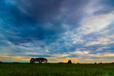 Scenic view of field against sky during sunset