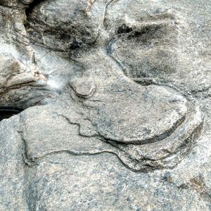 Close-up of hand on rock