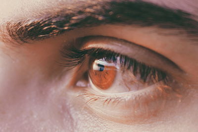 Close-up of human eye