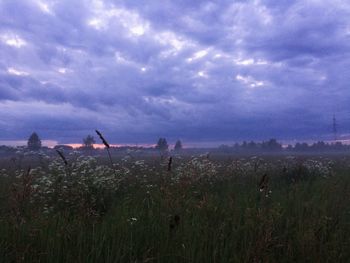 Scenic view of field against sky