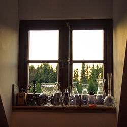 Trees seen through window