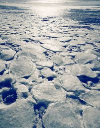 Close-up of snow on beach against sky
