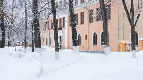 snow