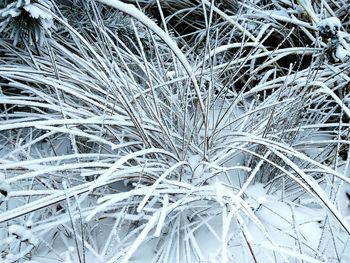 Full frame shot of snowflakes