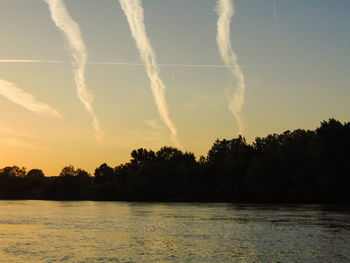 Silhouette trees against clear sky during sunset