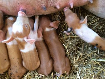 Portrait of young woman