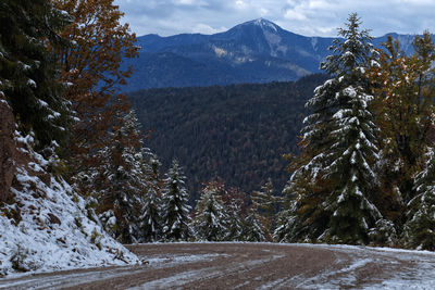 Scenic view of snowcapped mountains against sky during autumn 