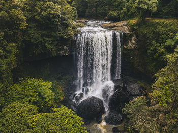 Aerial shot of zillie falls sourranded by lush green forest in tropical queensland, australia