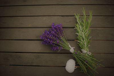 High angle view of purple flowering plants on table