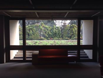 Plants seen through window