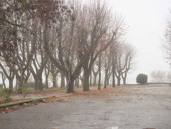 Road amidst trees on field against sky