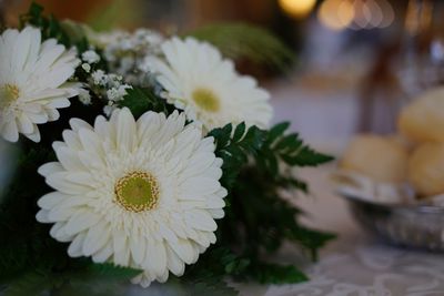 Close-up of flower against blurred background