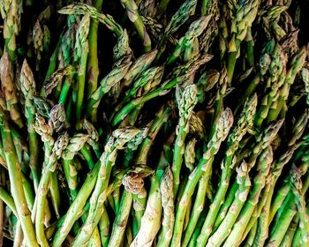 Full frame shot of garden asparagus