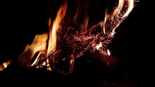 Firework display at night