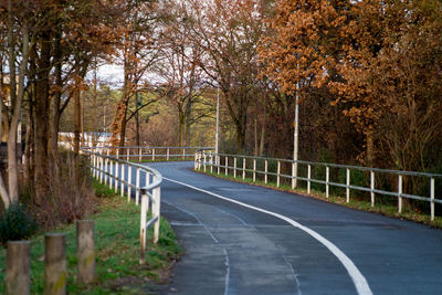 Road amidst trees during autumn