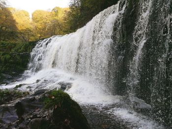 Scenic view of waterfall in forest