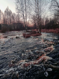 Bare trees by river against sky during winter