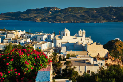 Picturesque scenic view of greek town plaka on milos island over red geranium flowers