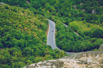 High angle view of road amidst trees in forest