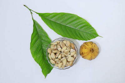 Directly above shot of fruits and leaves against white background