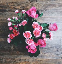 Close-up of red rose