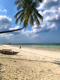 Palm trees on beach against sky