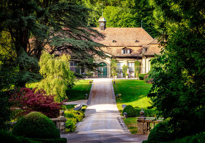 Empty road leading towards house at park