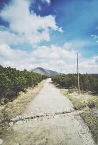 Road amidst plants and trees against sky