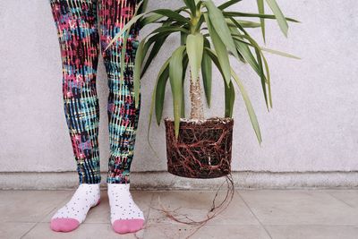 Low section of person standing by plant against wall