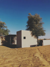 Tree by building against clear blue sky