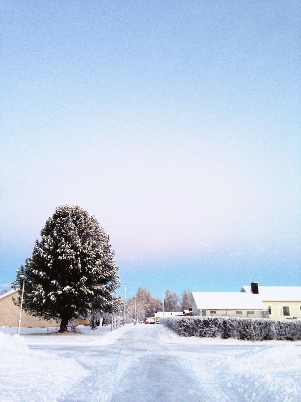 winter, snow, cold temperature, tree, clear sky, sky, nature, beauty in nature, no people, outdoors, day