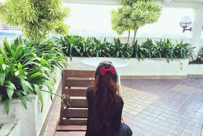 Rear view of woman sitting on deck chair by plants