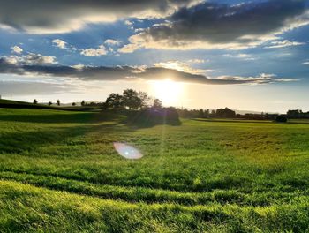 Scenic view of agricultural field against sky during sunset