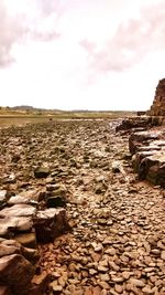 Rock formations on landscape