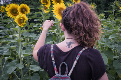 Rear view of woman touching sunflower at field