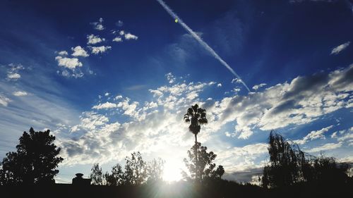 Low angle view of silhouette trees against sky