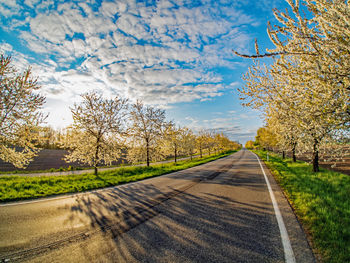 Road amidst trees against sky during autumn