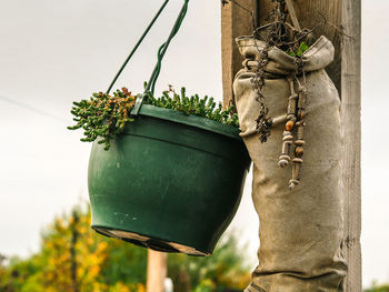 Low angle view of potted plant and pouch hanging on wooden post