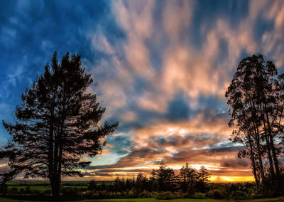 Silhouette trees on field against cloudy sky at sunset