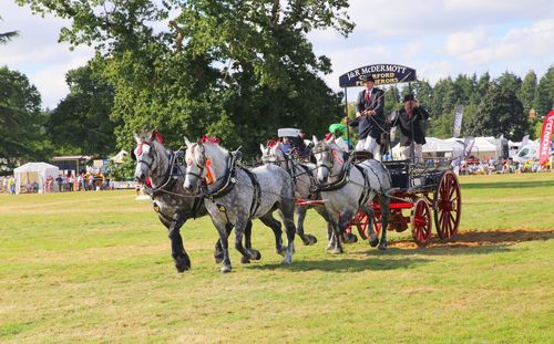 Group of people riding horses