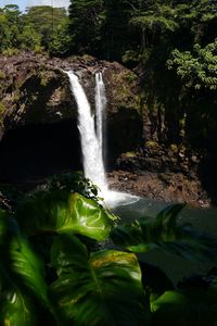 Scenic view of waterfall in forest