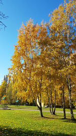 Trees on field against sky during autumn