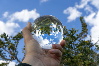 Low angle view of person holding glass against sky