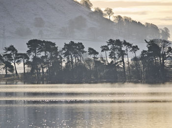 Scenic view of lake by trees against sky