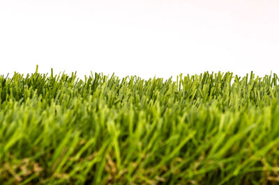 Close-up of fresh green field against clear sky