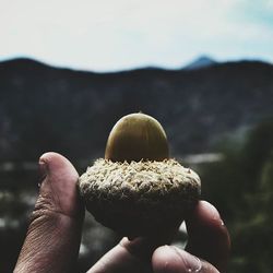 Close-up of cropped hand