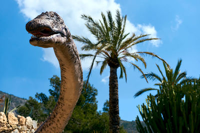 Low angle view of lizard on tree against sky