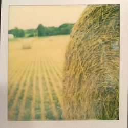 field