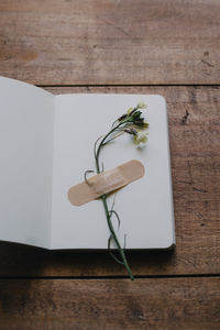 Flower stuck with plaster on a notebook on wooden table